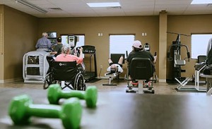 Galloway Therapy Physical Therapy Equipment